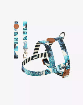 Conjunto Peitoral Tradicional e Guia Noronha